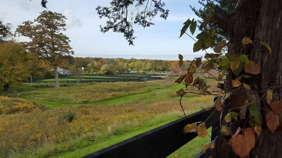 Expert yard cleanup service in Holtsville, NY - Emerald Magic Lawn Care