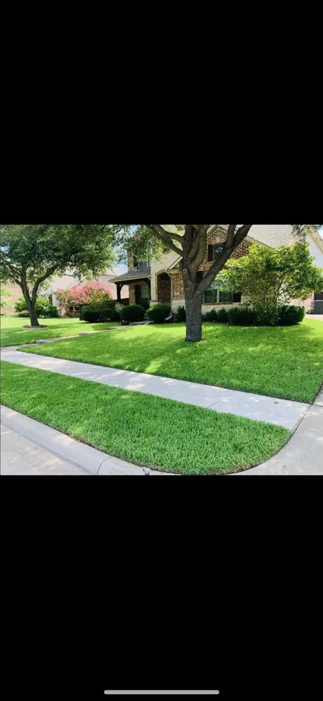 Reliable outdoor landscaping experts serving McKinney, TX - Emerald