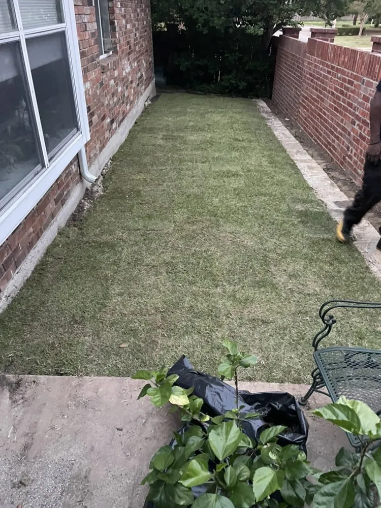 Local residential landscaping in McKinney, TX by Emerald