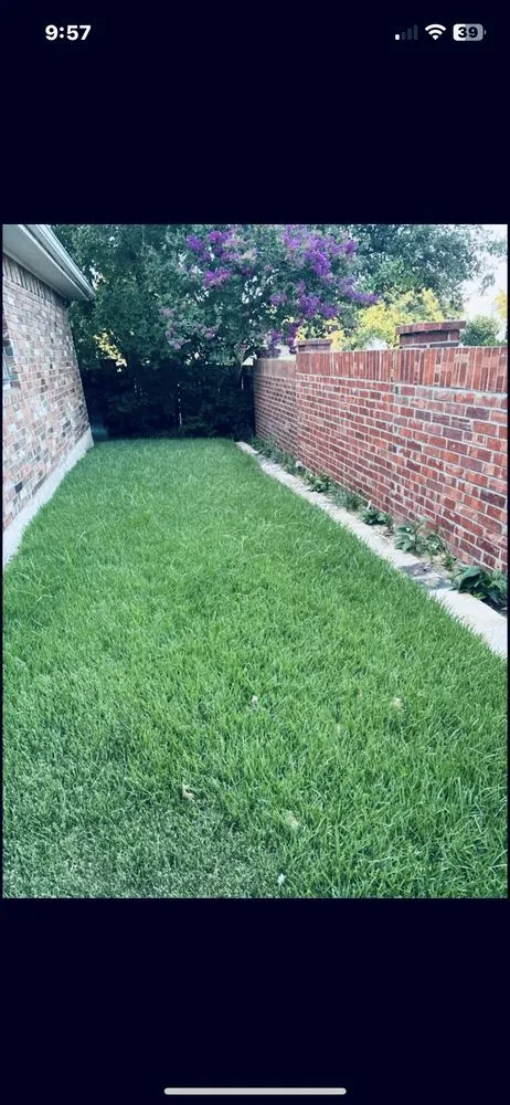 Affordable landscaping services for beautiful yards across McKinney, TX - Emerald