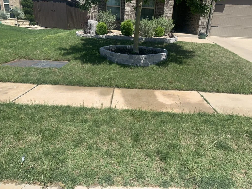 Trusted lawn care service with custom design in McKinney, TX by Emerald