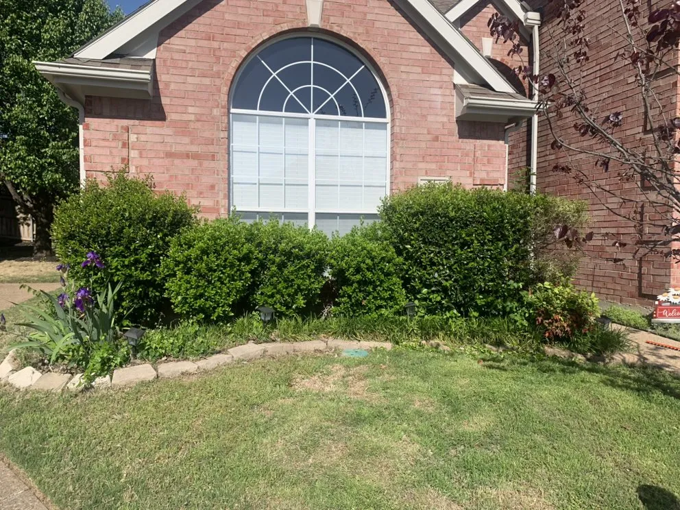 Affordable outdoor landscaping in McKinney, TX by Emerald