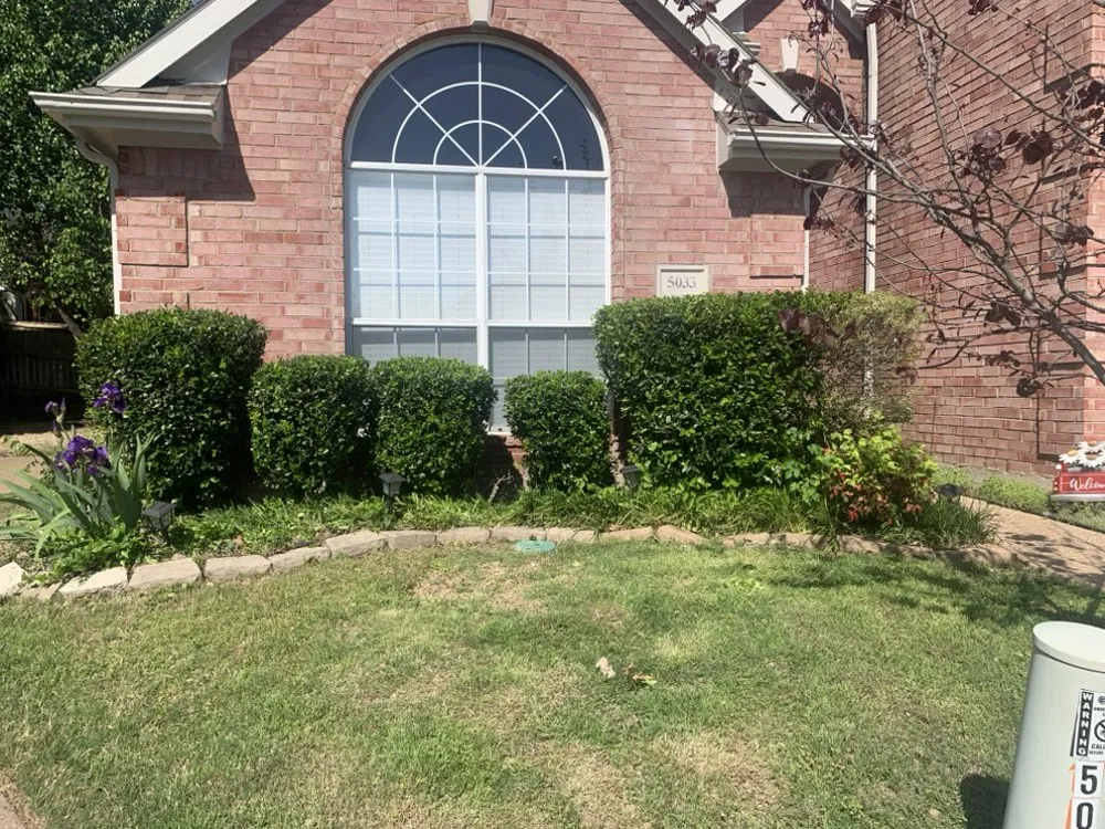 Custom landscaping services for beautiful yards in McKinney, TX by Emerald