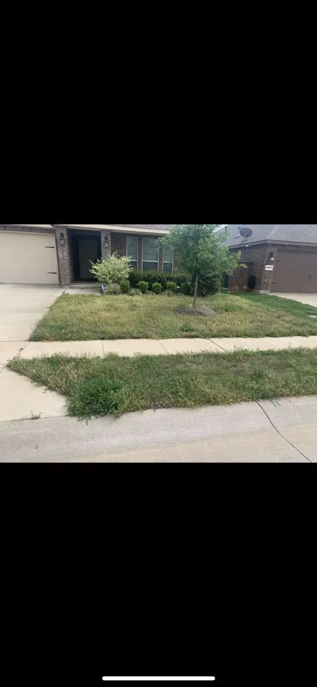 Top-rated lawn mowing service for homes across McKinney, TX - Emerald