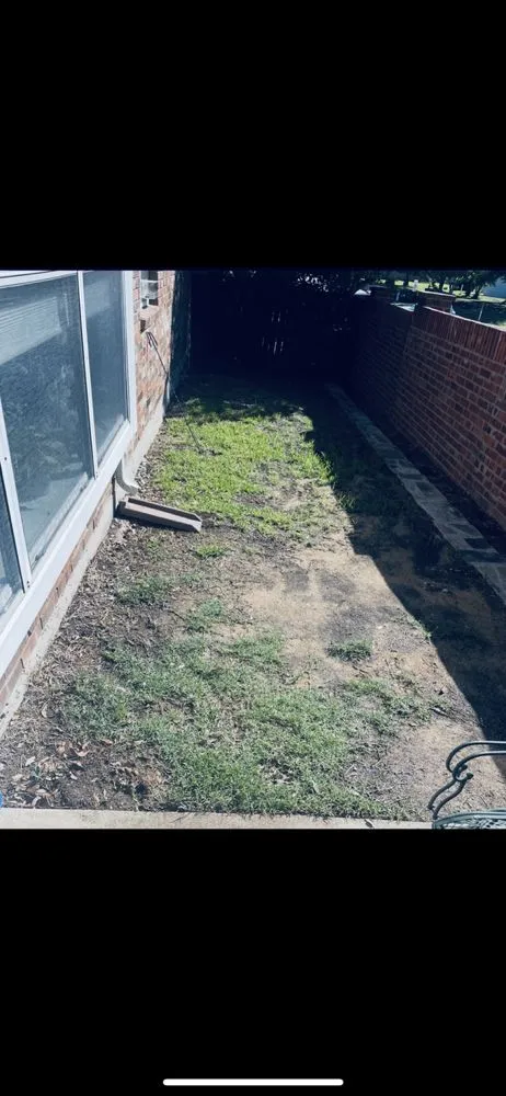 Professional landscaping services in McKinney, TX - Emerald