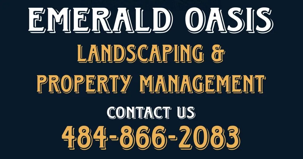 Reliable yard cleanup service experts serving Albrightsville, PA - Emerald Oasis