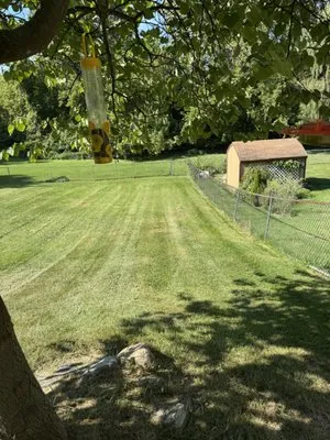 Emerald Outdoor Services Logo