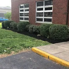 Affordable lawn care service in Lawrenceburg, IN by Emerald Outdoor Services