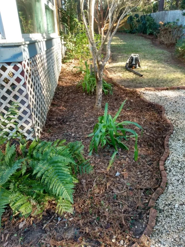 Top-rated yard cleanup service near you in Daphne, AL by Emerald Properties