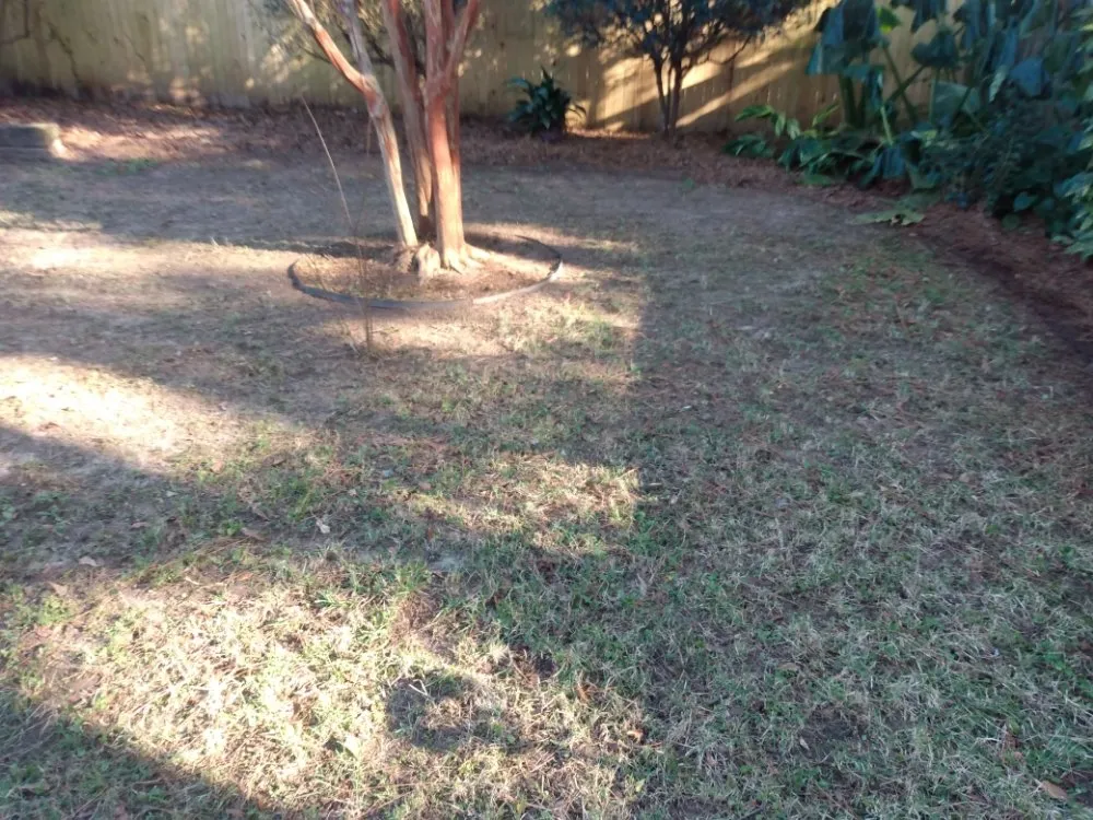 Reliable lawn care service experts serving Daphne, AL - Emerald Properties