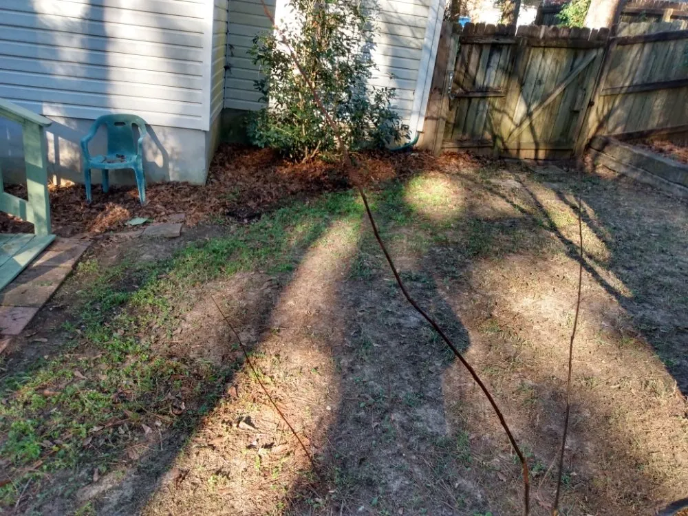 Local lawn care service in Daphne, AL by Emerald Properties