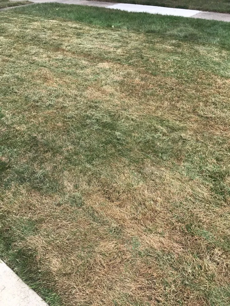 Custom garden landscaping for year-round maintenance in Romulus, MI by Emerald Rich Lawns