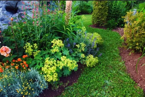 Affordable outdoor landscaping with custom design across Dallas, TX - Emerald Touch Lawn & Landscape