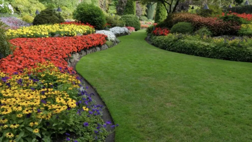 Expert residential landscaping for year-round maintenance in Dallas, TX by Emerald Touch Lawn & Landscape