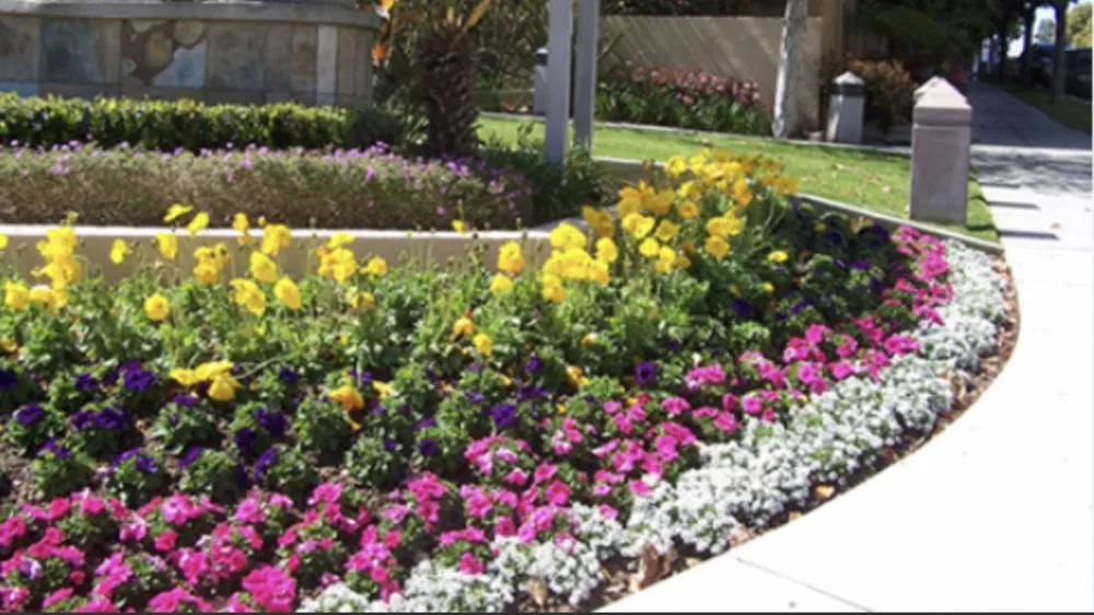 Expert yard cleanup service in Dallas, TX - Emerald Touch Lawn & Landscape