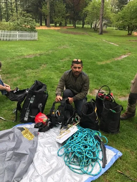 Reliable landscape design for homes across New Rochelle, NY - Emerald Tree & Shrub Care Company