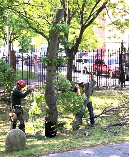 Custom landscape installation in New Rochelle, NY by Emerald Tree & Shrub Care Company