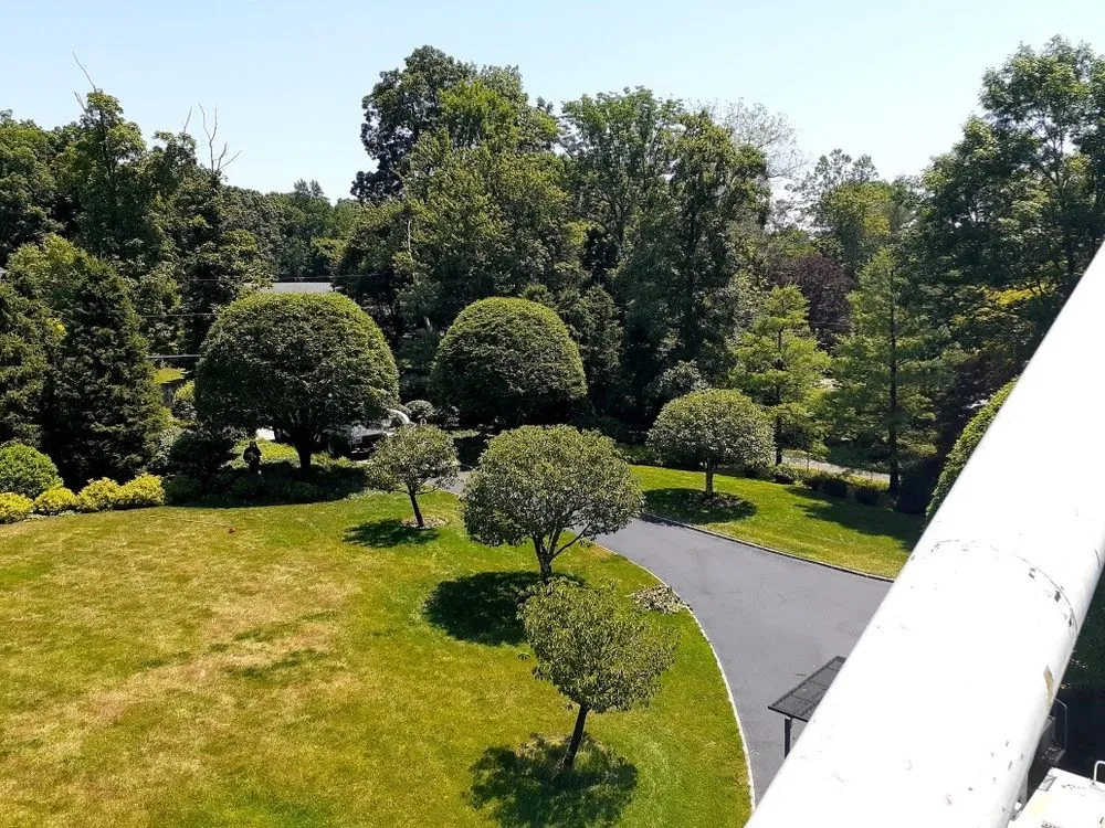 Custom lawn mowing service experts serving New Rochelle, NY - Emerald Tree & Shrub Care Company
