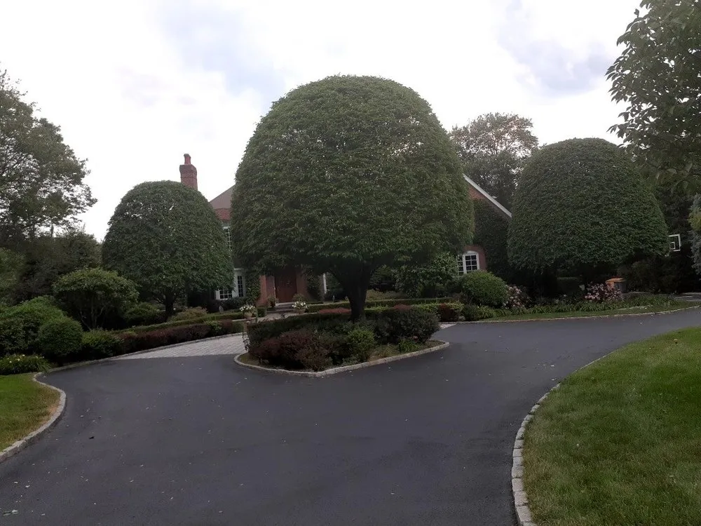 Expert lawn care service in New Rochelle, NY - Emerald Tree & Shrub Care Company