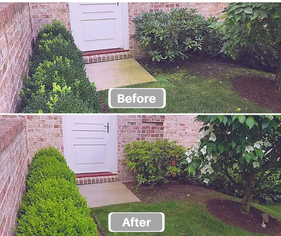 Custom lawn care service experts serving New Rochelle, NY - Emerald Tree & Shrub Care Company