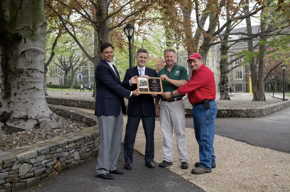 Trusted lawn mowing service for residential properties across New Rochelle, NY - Emerald Tree & Shrub Care Company