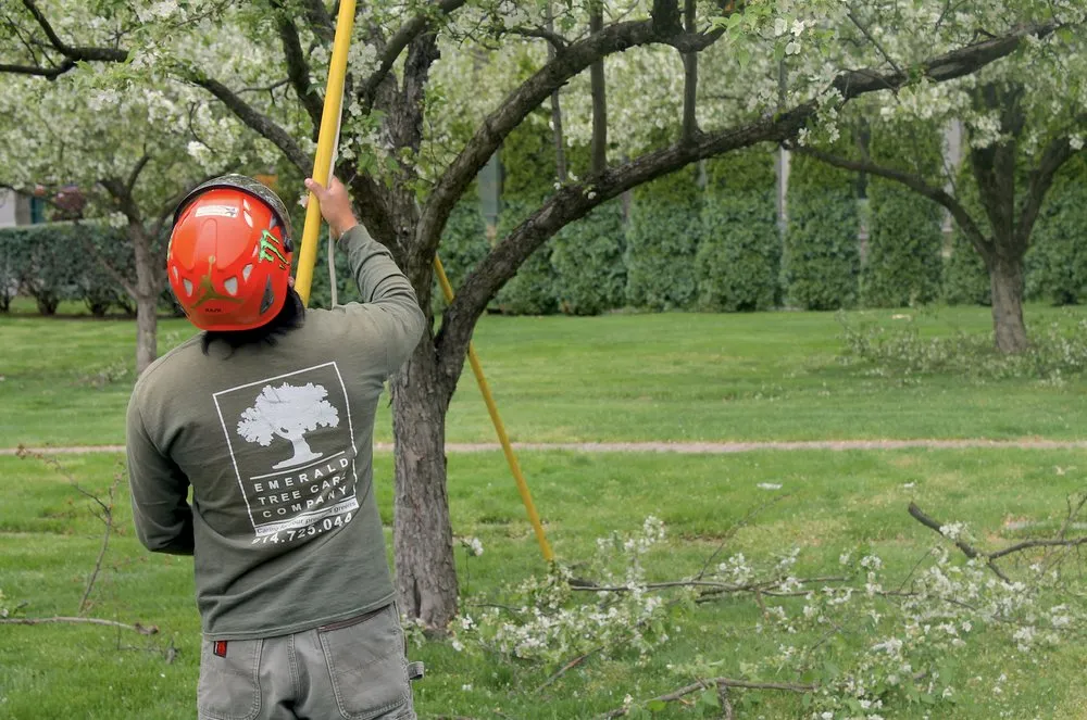 Custom outdoor landscaping in New Rochelle, NY - Emerald Tree & Shrub Care Company