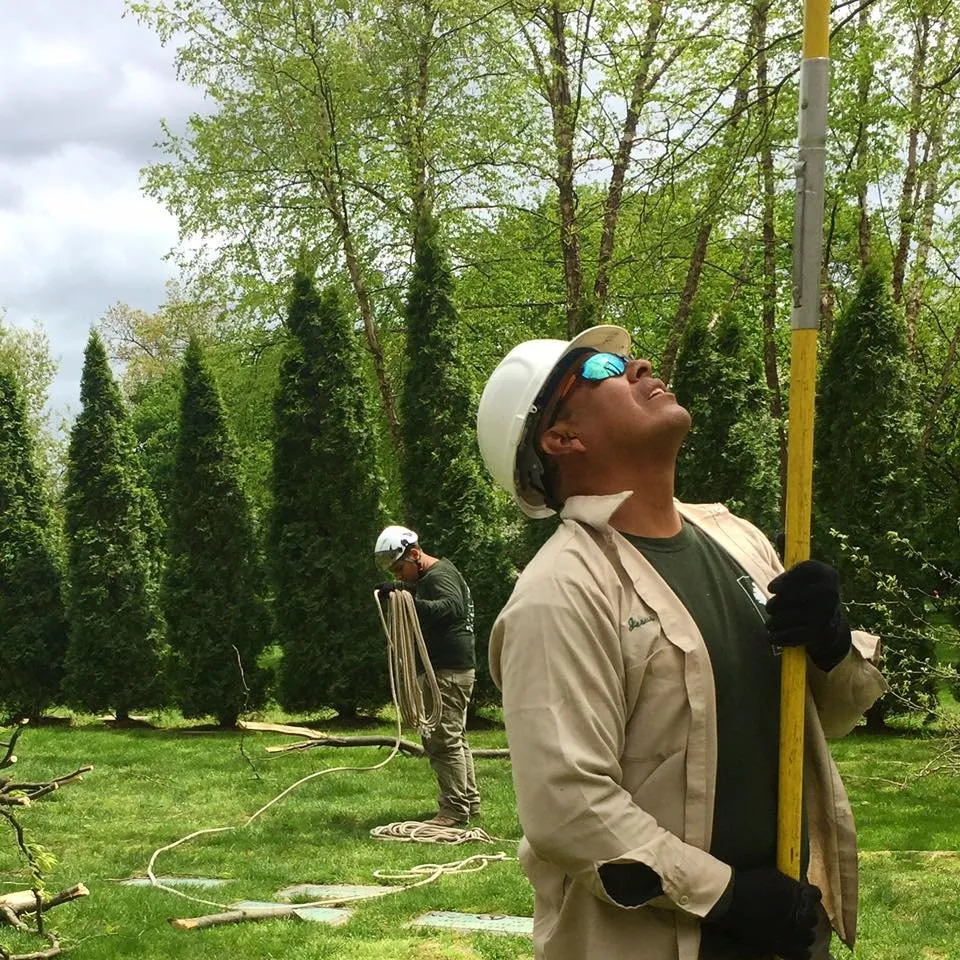 Affordable lawn care service for beautiful yards across New Rochelle, NY - Emerald Tree & Shrub Care Company