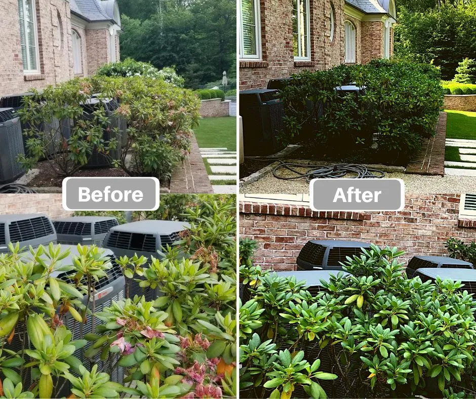 Reliable outdoor landscaping for outdoor upgrades in New Rochelle, NY by Emerald Tree & Shrub Care Company
