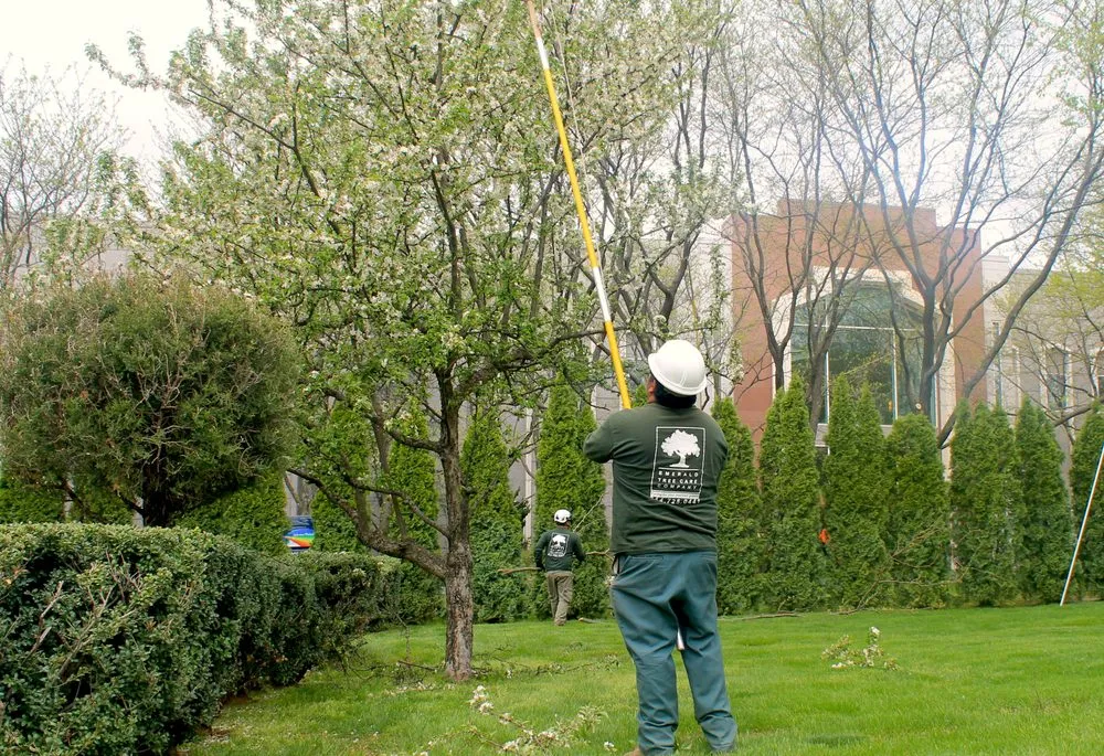 Top-rated garden landscaping near you across New Rochelle, NY - Emerald Tree & Shrub Care Company