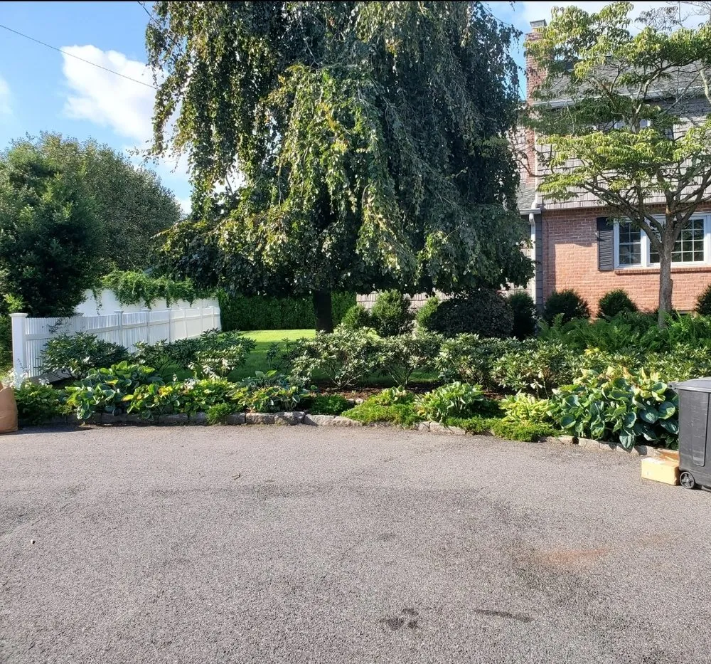 Affordable yard cleanup service near you across New Rochelle, NY - Emerald Tree & Shrub Care Company