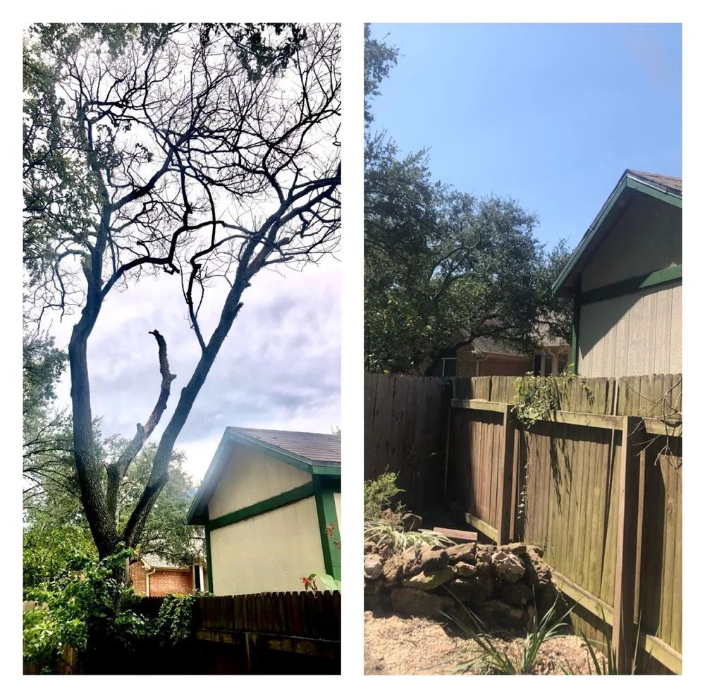 Affordable yard maintenance in Austin, TX - Emerald Tree Care and Garden