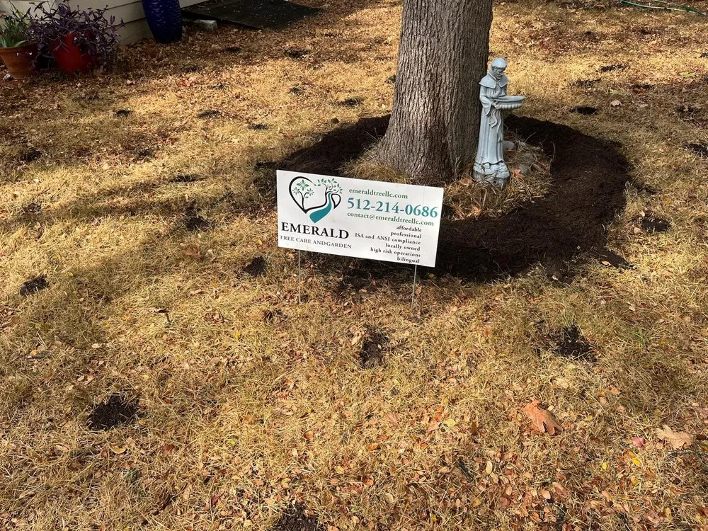 Trusted landscape design in Austin, TX - Emerald Tree Care and Garden