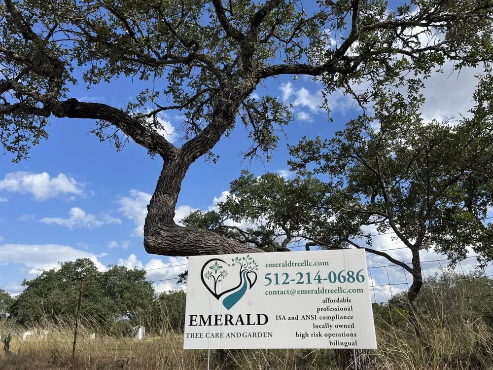 Reliable residential landscaping for homes across Austin, TX - Emerald Tree Care and Garden