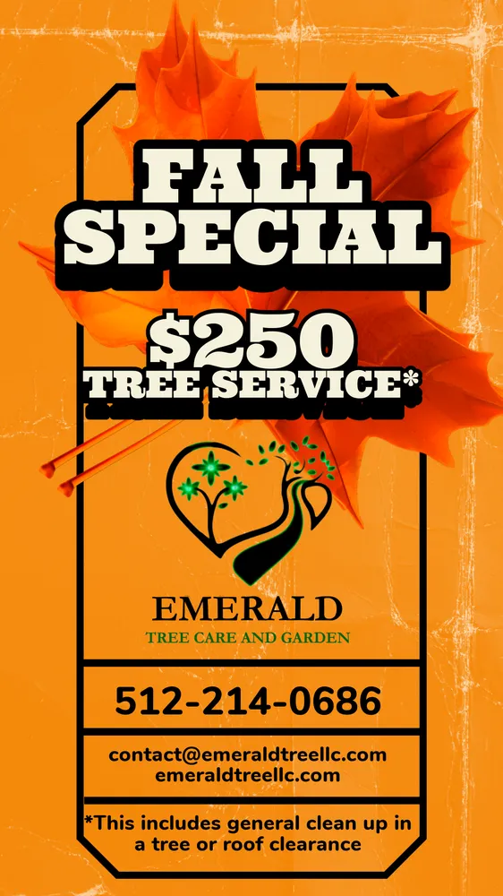 Reliable landscaping services in Austin, TX by Emerald Tree Care and Garden