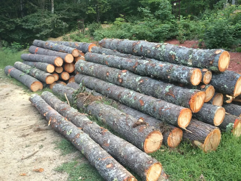 Trusted landscape design experts serving Bartlett, NH - Emerald Tree Experts