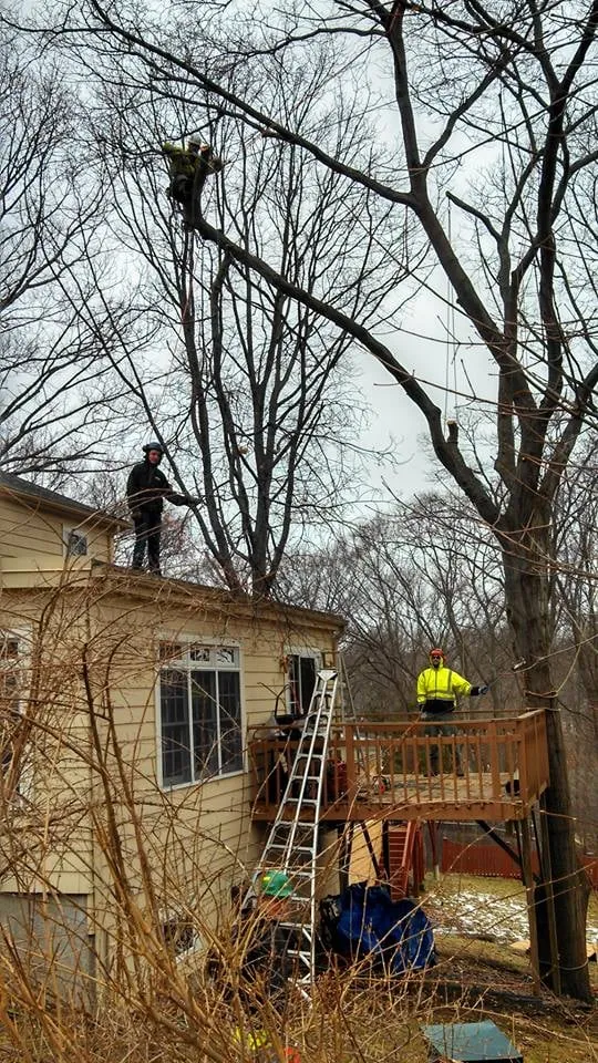 Expert lawn mowing service for residential properties across Bartlett, NH - Emerald Tree Experts