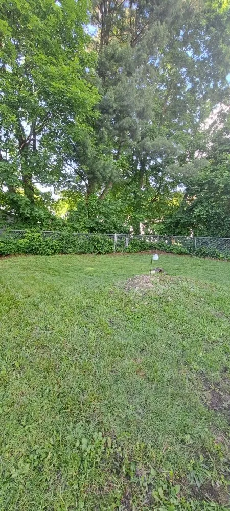 Top-rated landscape design experts serving Elmira, NY - Emerald Trimming Service