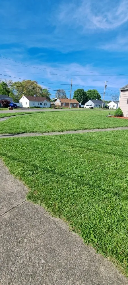 Custom yard cleanup service experts serving Elmira, NY - Emerald Trimming Service