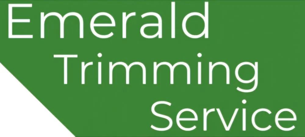 Expert lawn care service in Elmira, NY by Emerald Trimming Service