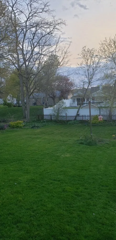 Local yard cleanup service with custom design across Elmira, NY - Emerald Trimming Service