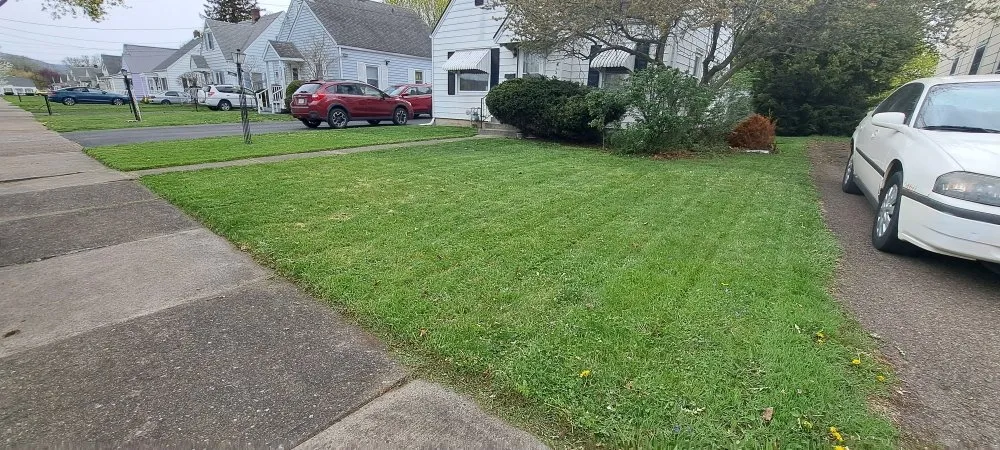 Trusted landscaping services experts serving Elmira, NY - Emerald Trimming Service