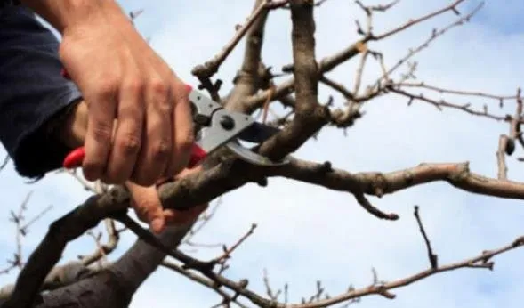 Affordable yard maintenance for residential properties in Middlefield, OH by Emerald Turf Landscaping