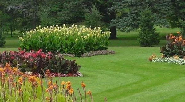 Local yard maintenance near you in Middlefield, OH by Emerald Turf Landscaping