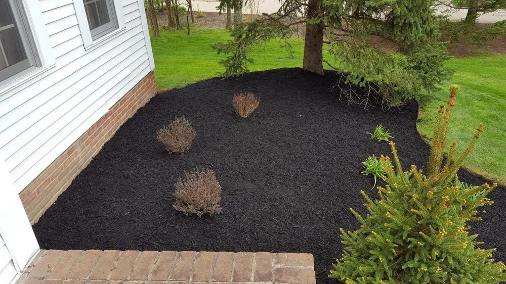 Affordable yard cleanup service in Middlefield, OH by Emerald Turf Landscaping