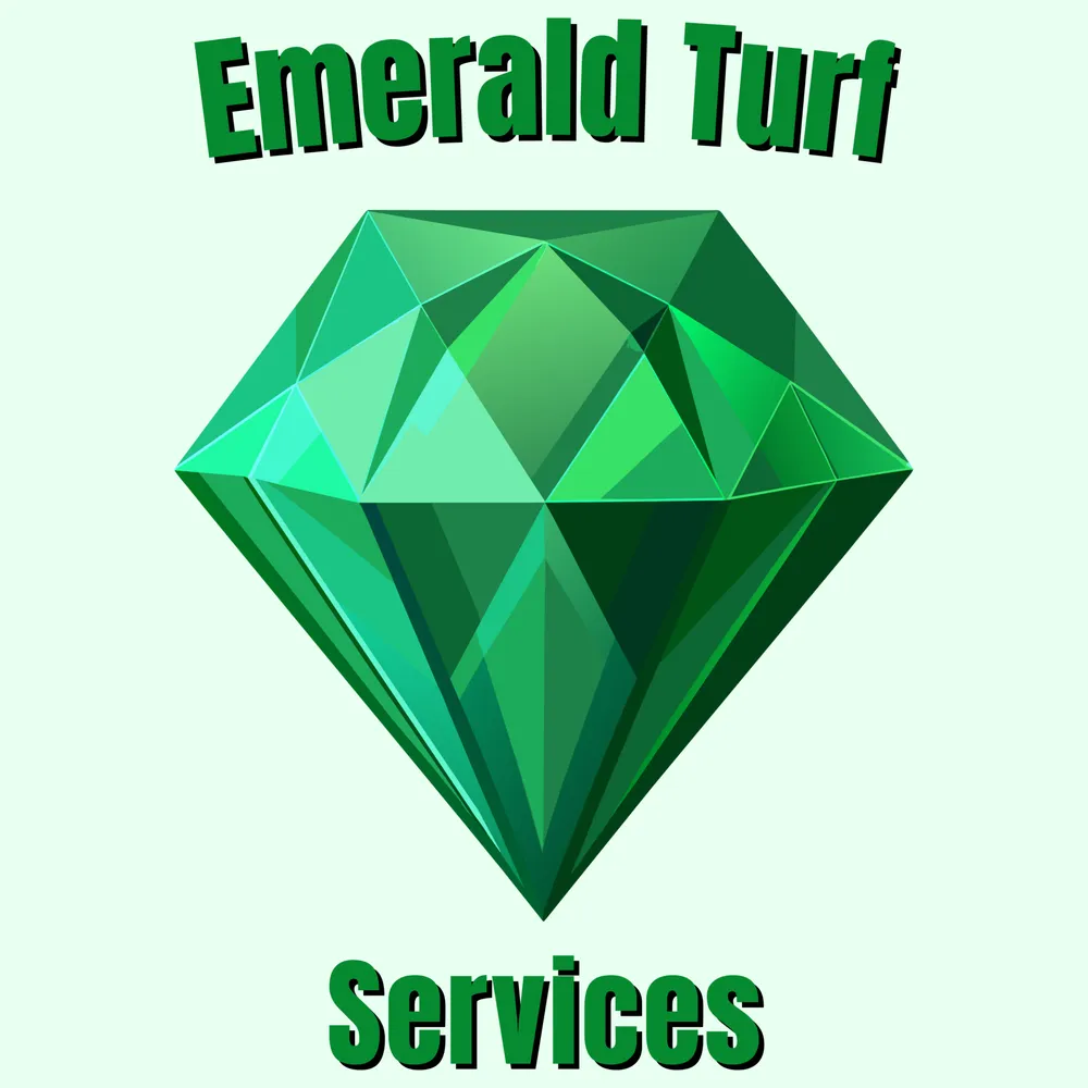 Trusted landscape installation experts serving Nahunta, GA - Emerald Turf Services