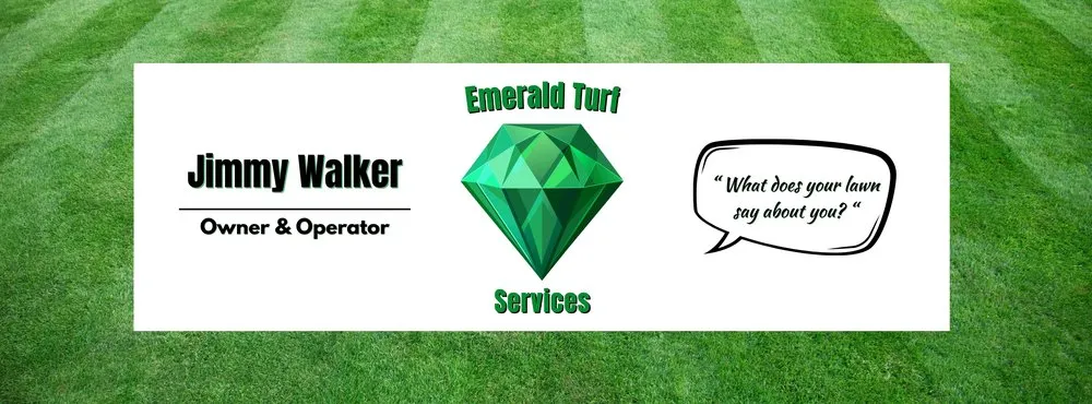 Reliable yard cleanup service in Nahunta, GA by Emerald Turf Services