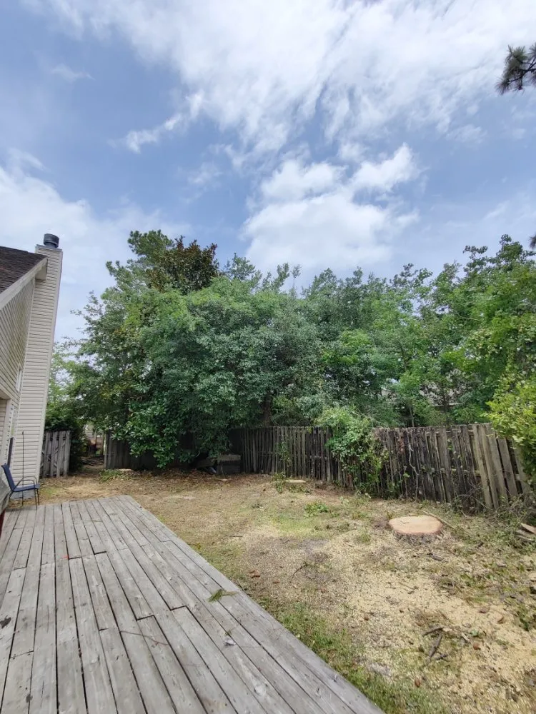 Reliable landscaping services experts serving Destin, FL - Emerald Wave 360