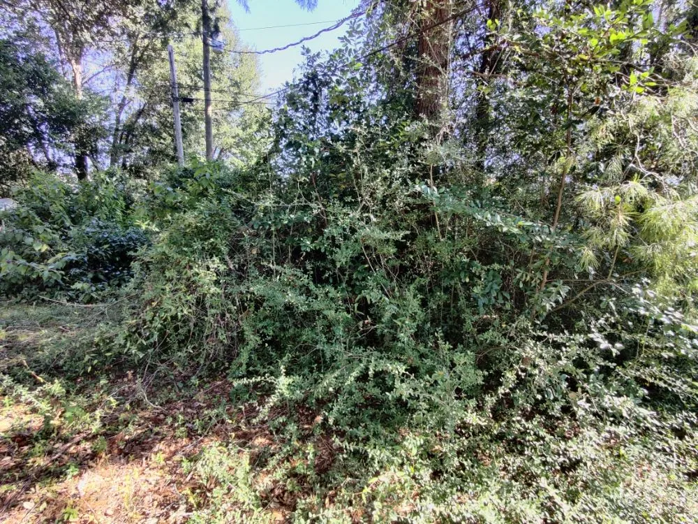 Trusted lawn care service in Destin, FL by Emerald Wave 360