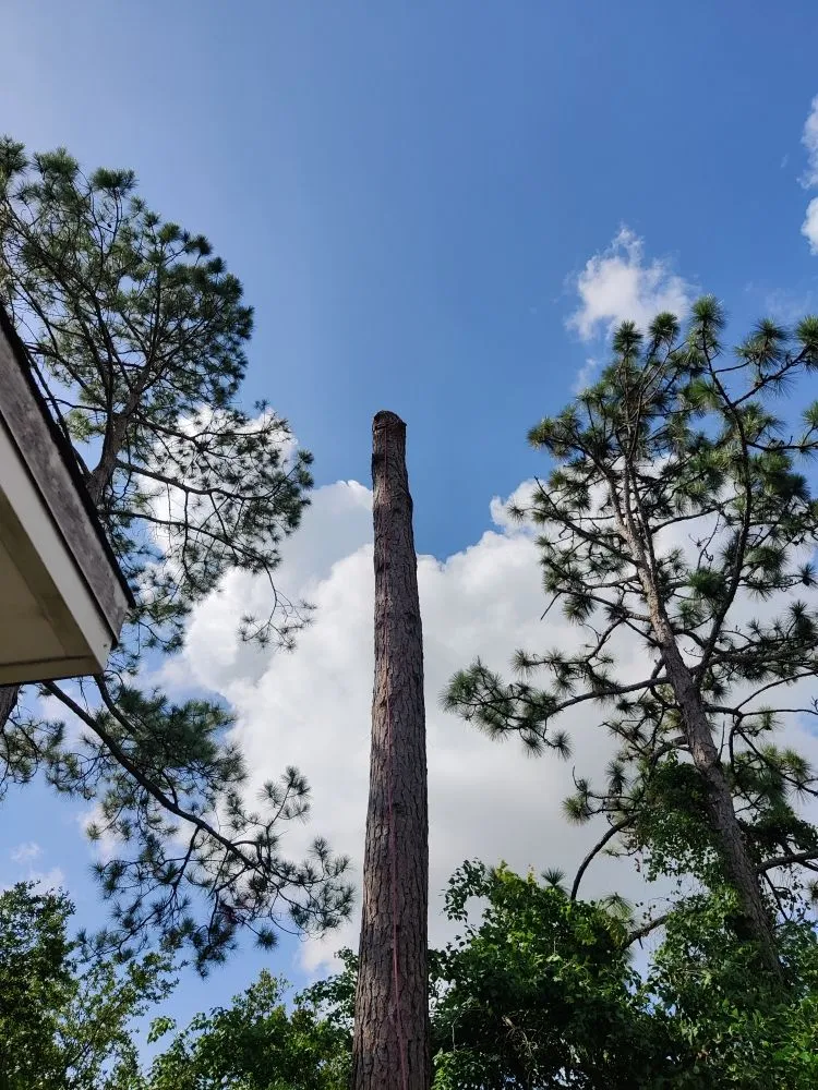 Top-rated garden landscaping experts serving Destin, FL - Emerald Wave 360