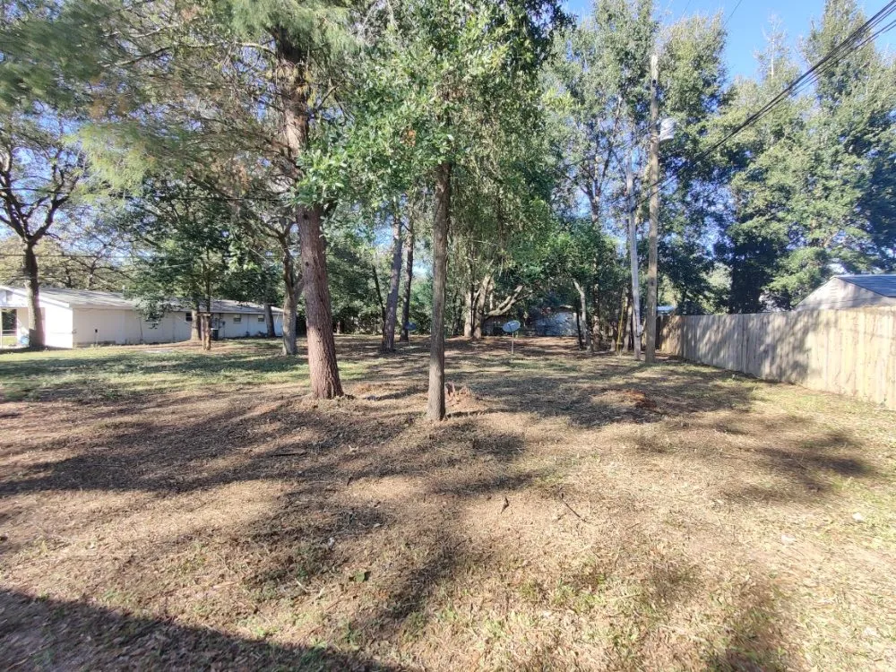 Expert yard maintenance for homes across Destin, FL - Emerald Wave 360